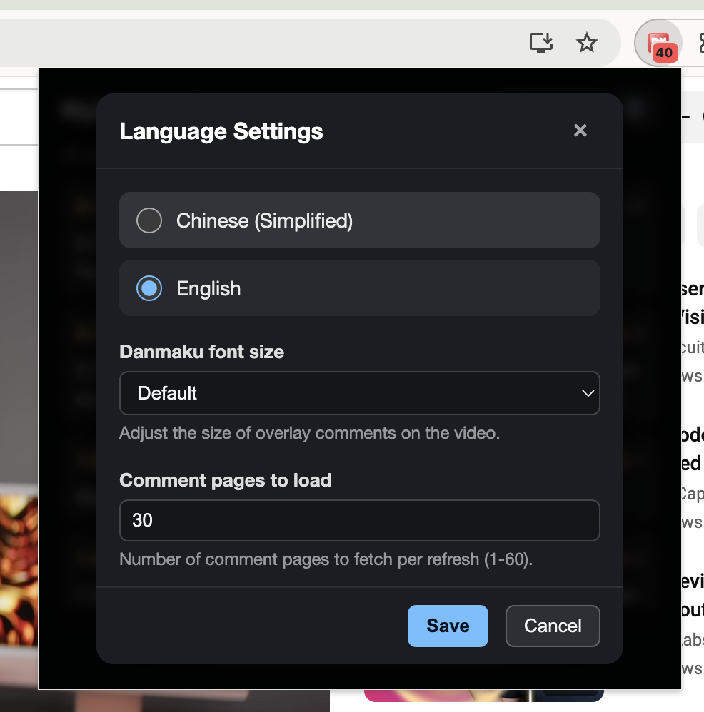Settings panel inside the popup
